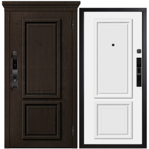 Дверь м sl 670 металюкс